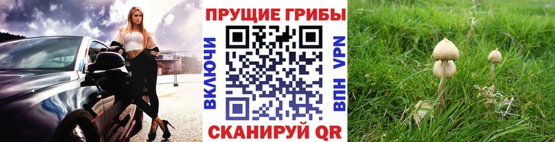ОМГ ОМГ рабочий сайт  Буинск  Псилоцибиновые грибы мухоморы 